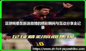迷情绪